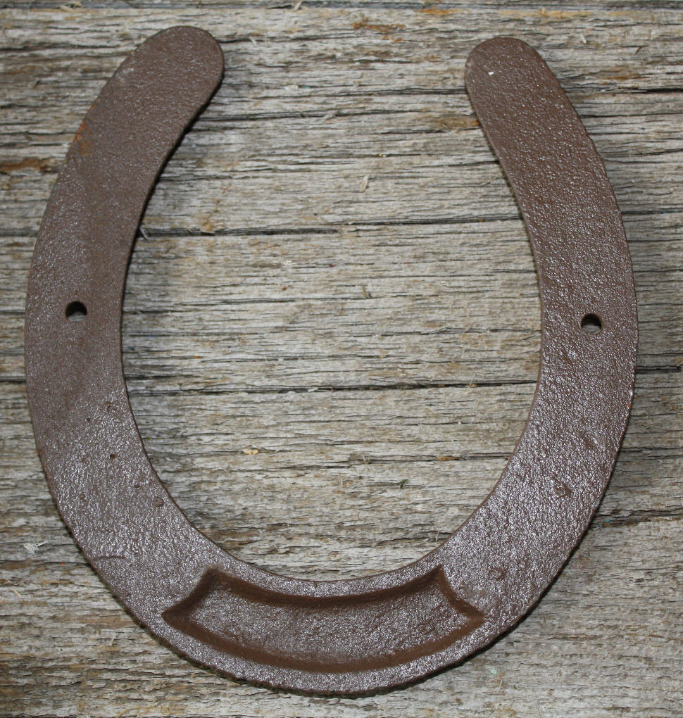Cast Iron Lucky Horseshoe Rustic Ranch Western Home Decor 5 1/2 x 6.5 in TEXAS