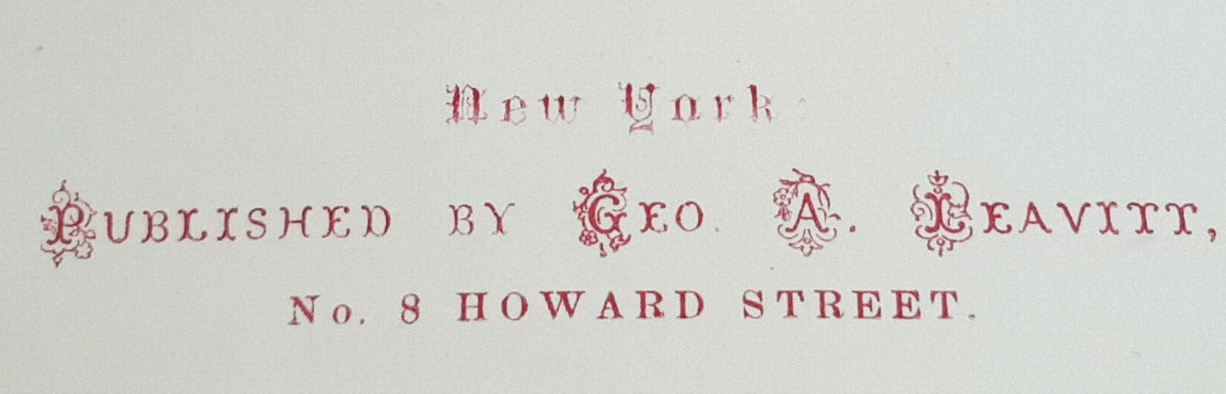Handcoloured steel engraving the narrows from staten island 1854 W.H. Bartlett