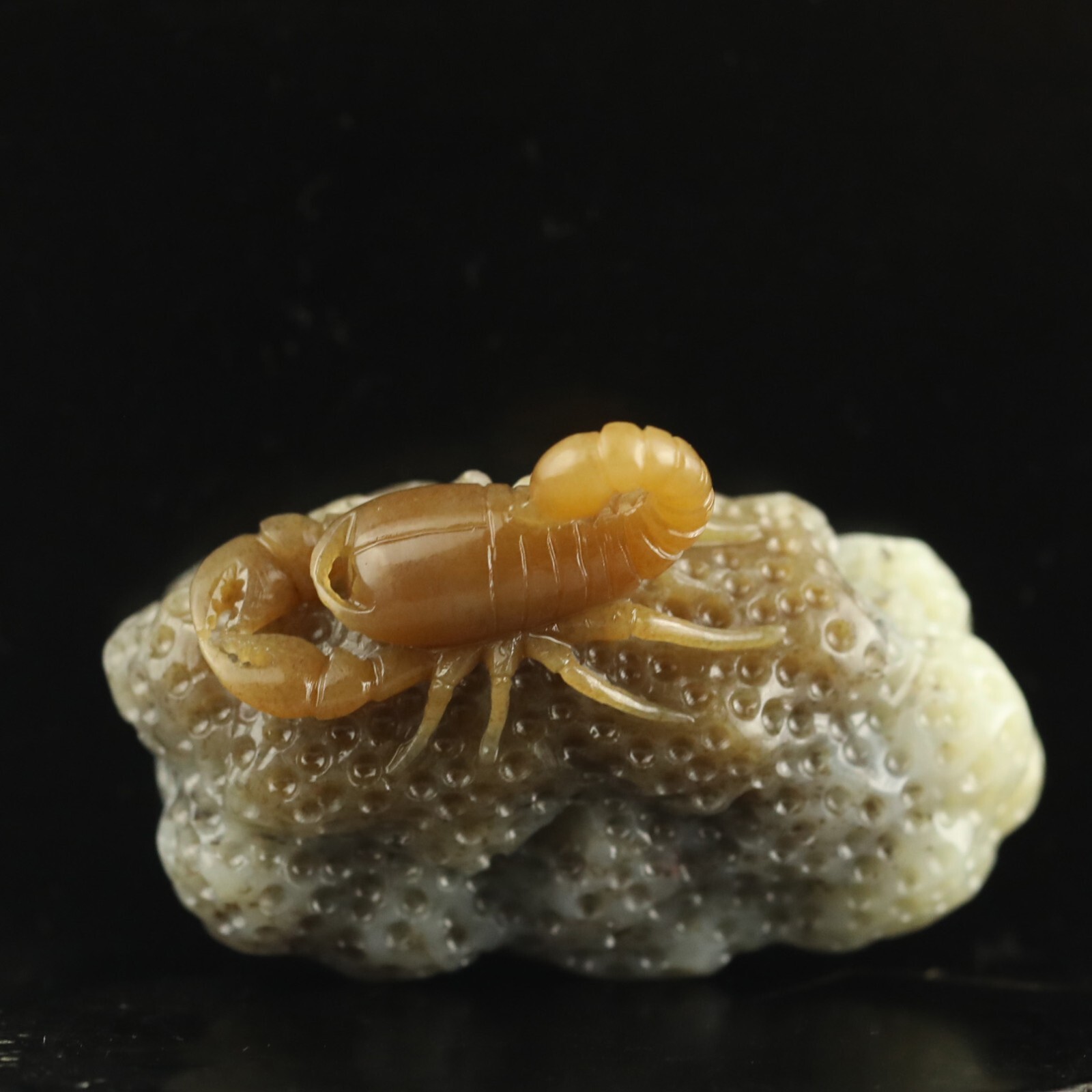 Old China natural hetian jade hand-carved statue of scorpion with certificate 45