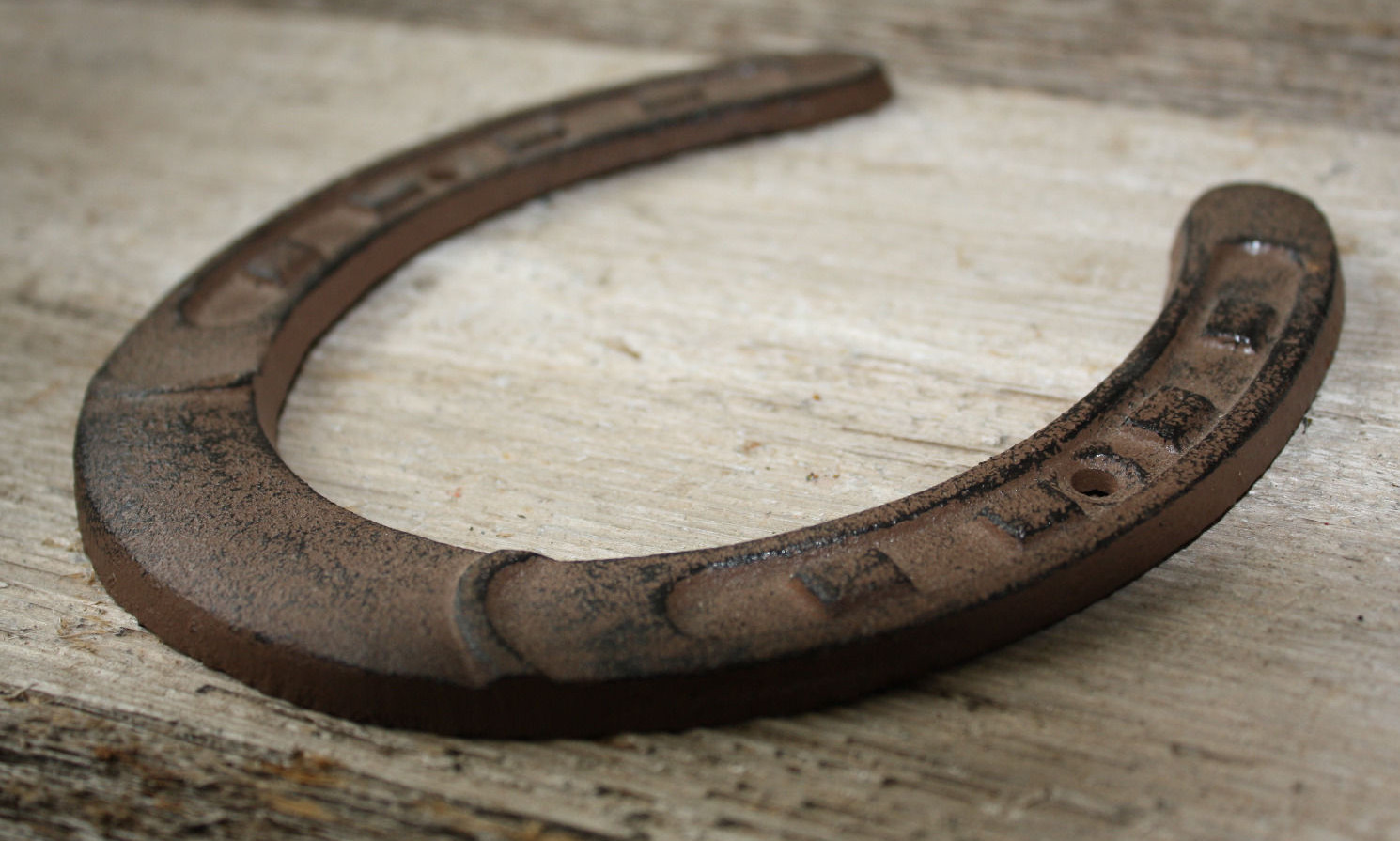 Cast Iron Lucky Horseshoe Rustic Ranch Western Home Decor 5 1/2 x 6.5 in TEXAS