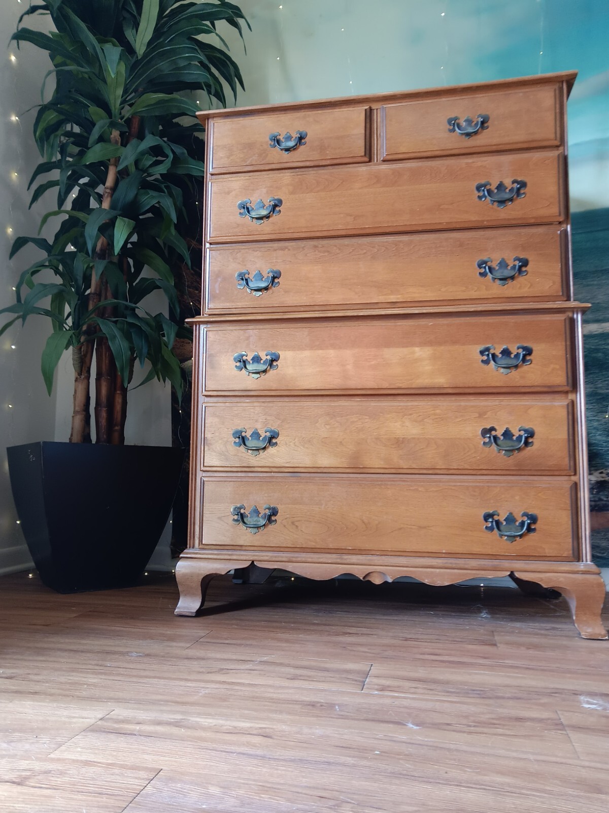 Mid Century Cal Shop ANTIQUE Chest Of Drawers. 7 Drawers Brass Handles
