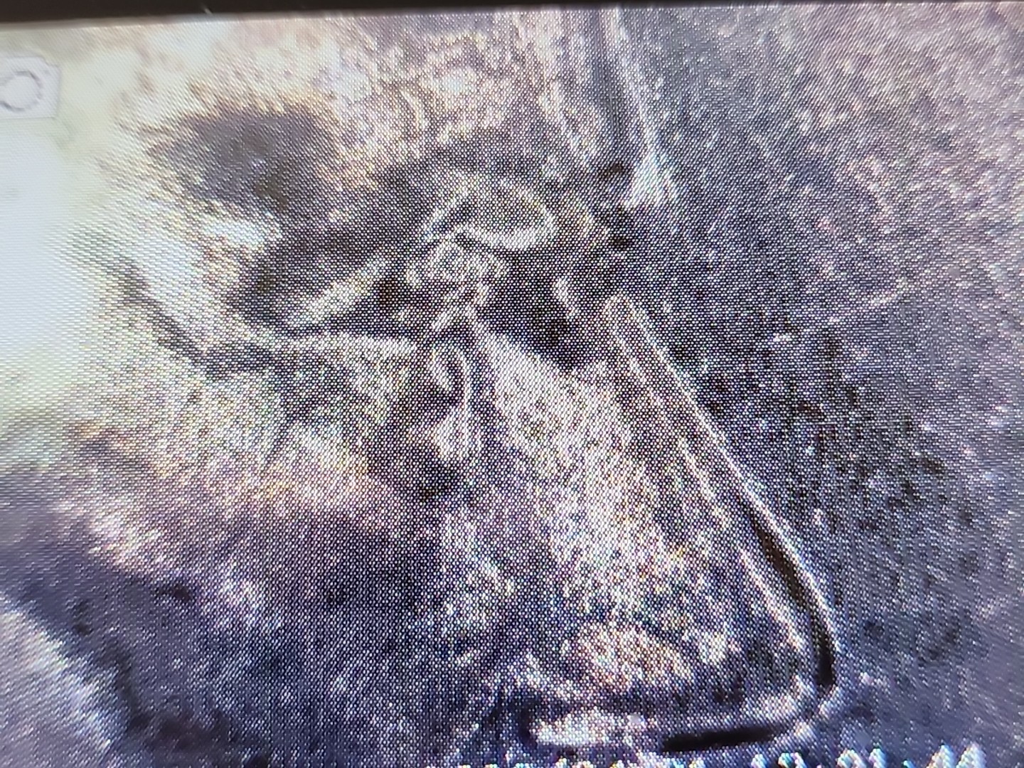 2025 P Lincoln Shield Cent – RARE DIE CHIP ERROR – LINCOLN CRYING EYE ERROR