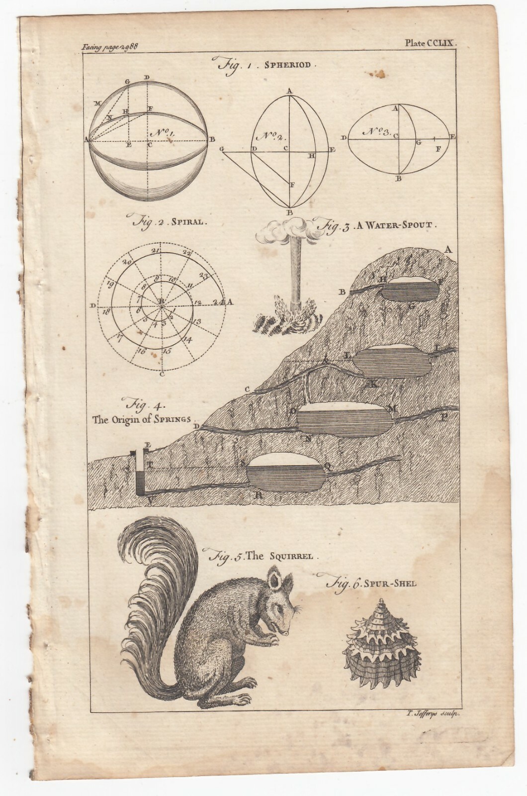 Vintage 1764 THOMAS JEFFERYS Copper Engraving Spheroid Water Spout SQUIRREL +
