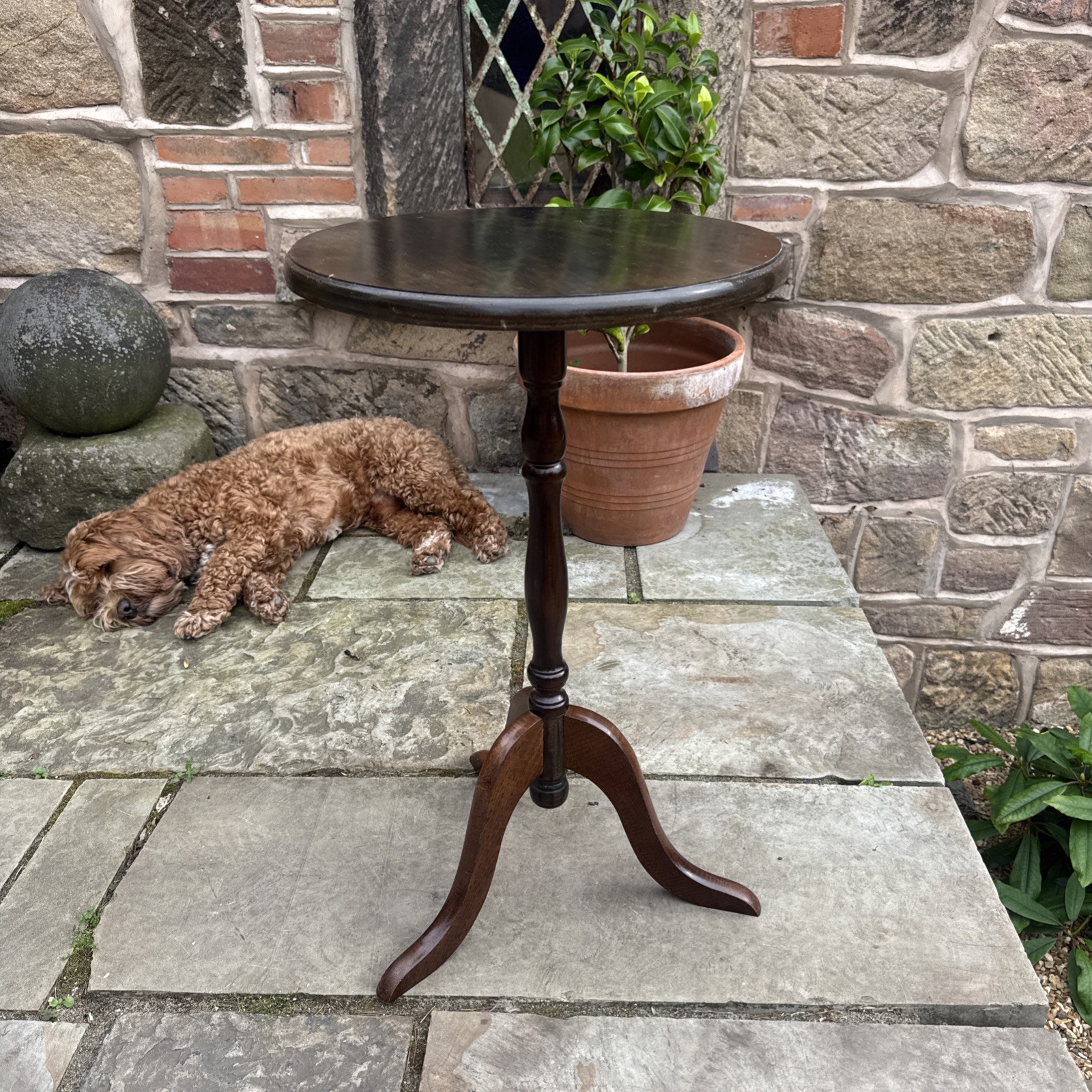Occasional Wine Table Tripod Wood Turned Column Varnished Side Table Home Decor