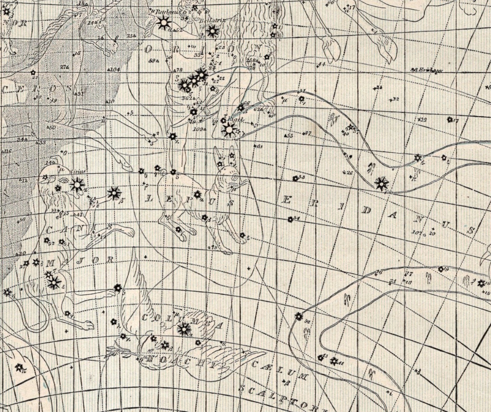 1888 Constellation Map Star Map Chart Astronomy Zodiac Print Wall Art 3020