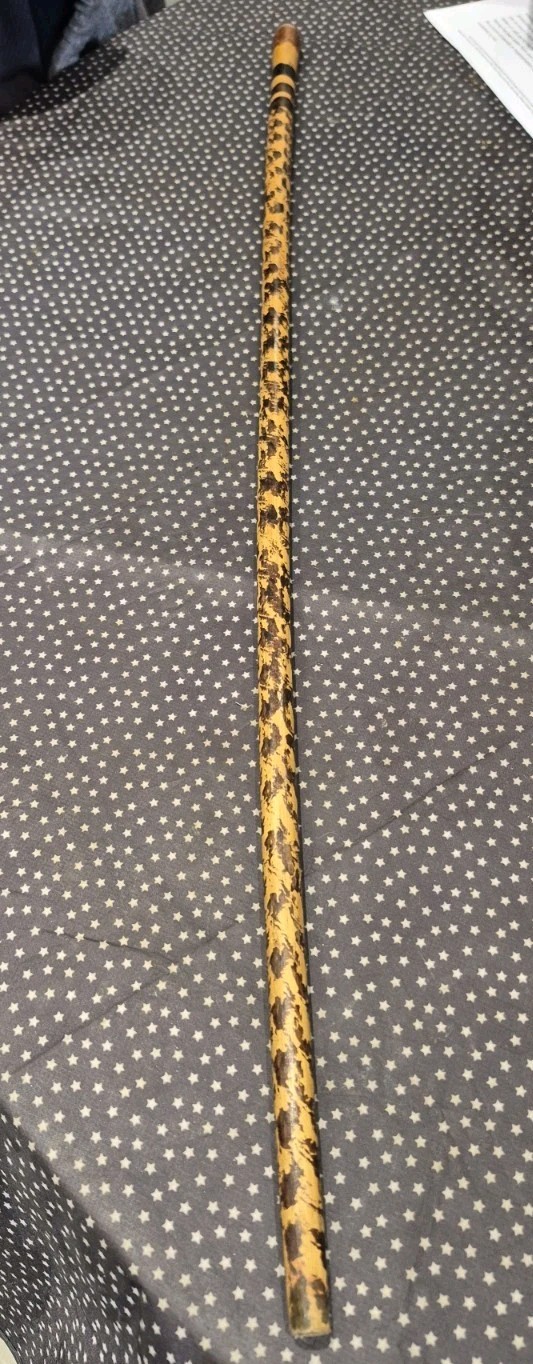 Vintage Malacca Swagger Stick With Painted Design