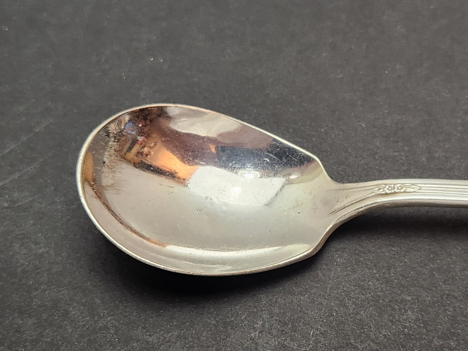 Rogers & Bros Garland Rapture Silverplate Sugar Spoon