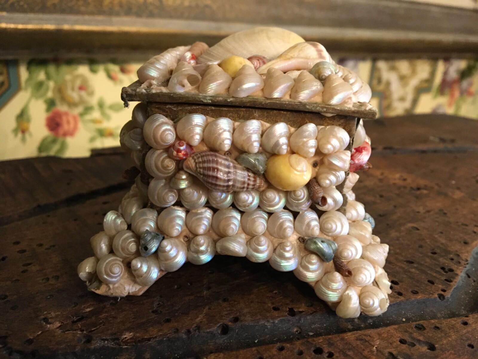 French Sea Shell Art Box Maritime Souvenir South of France