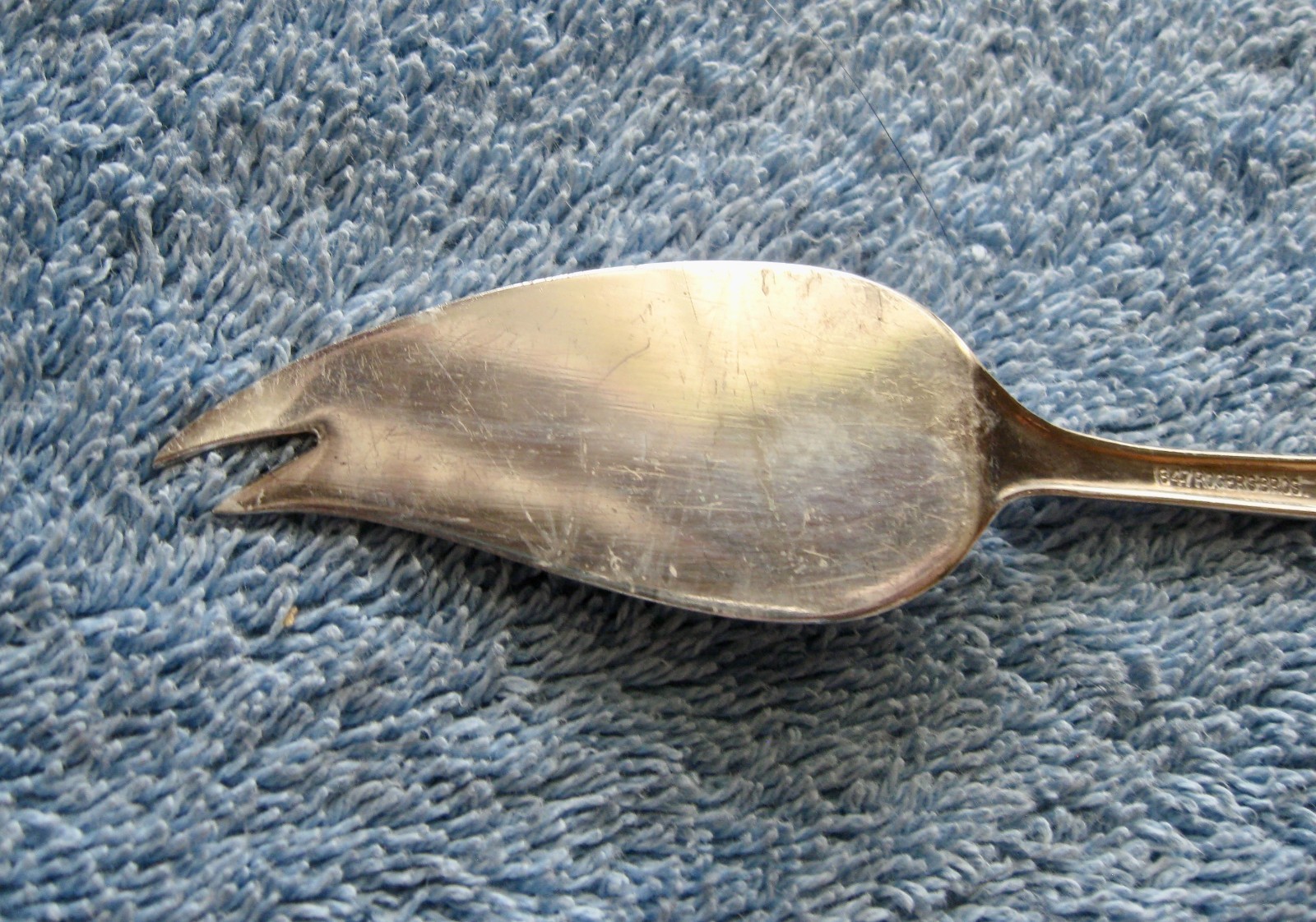 1847 Rogers Bros Silverplate SPRINGTIME Cheese Serving Knife Spreader 6″