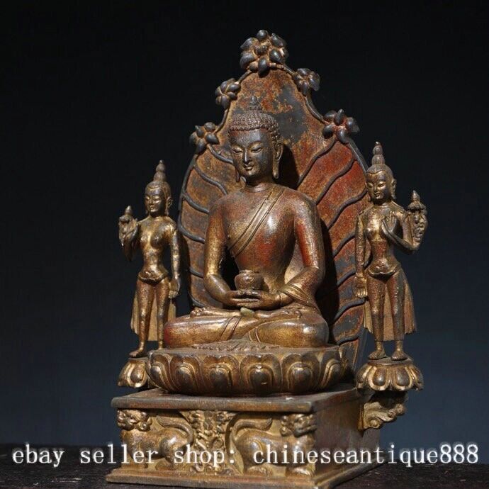 11.8” Old Tibet Tibetan Buddhism Bronze Gilt Shakyamuni Amitabha Buddha Statue