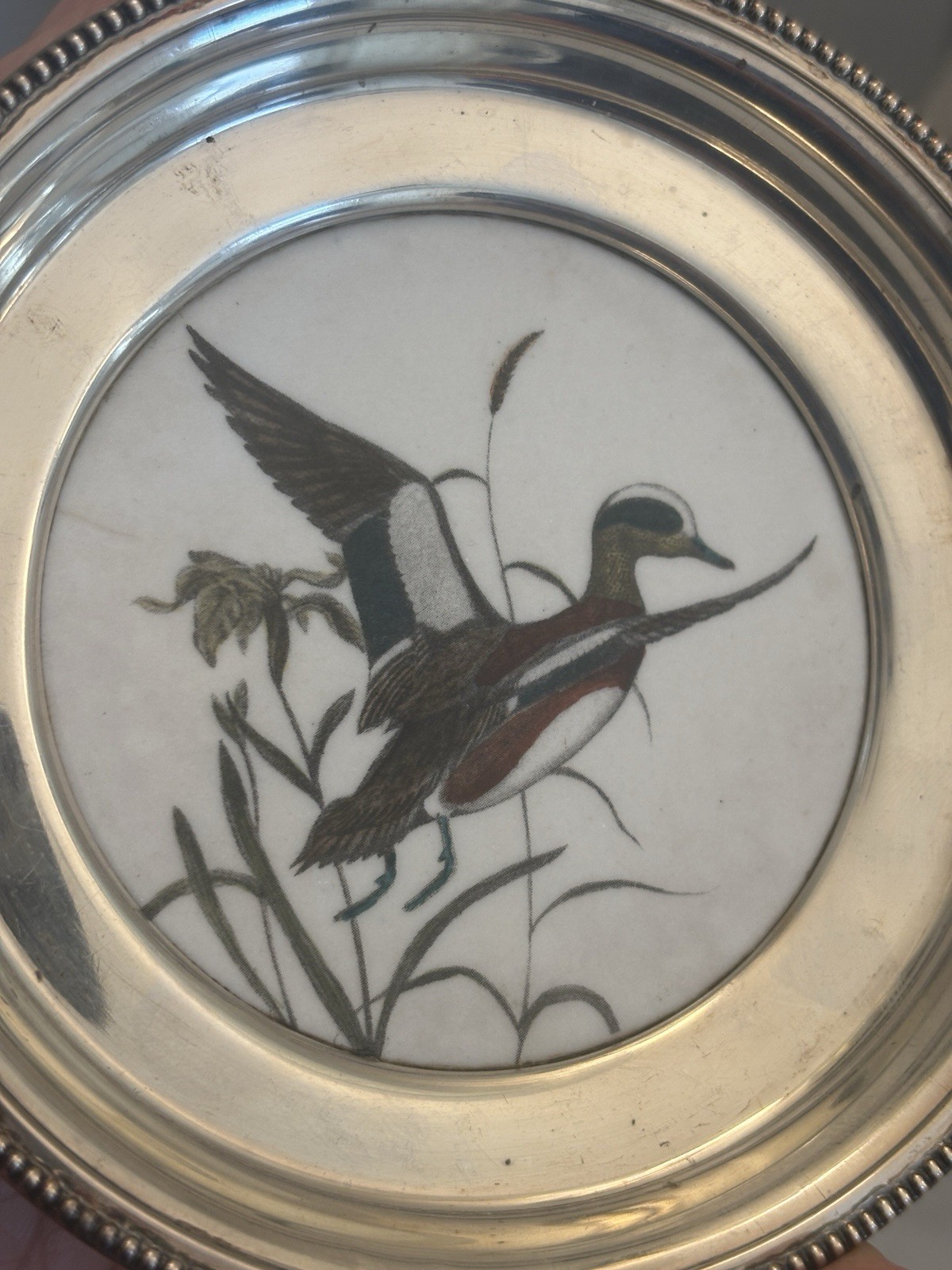 Frank M. Whiting / Sterling Silver Baldpate