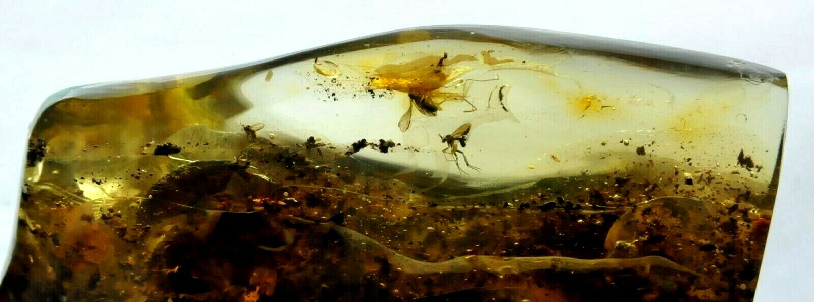 118gr RUSSIAN SOVIET RARE BALTIC SEA INSECT AMBER GEMSTONE 老琥珀 KALININGRAD ROCK