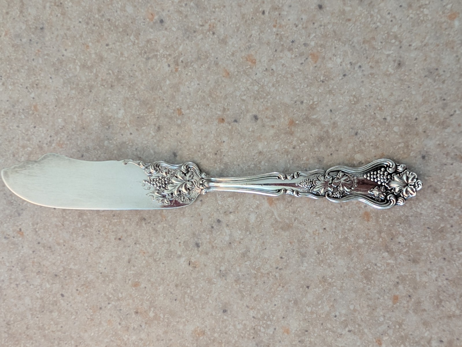 1906 Antique American Silver Co. Silverplate Moselle Berry Butter KnifeFree Ship