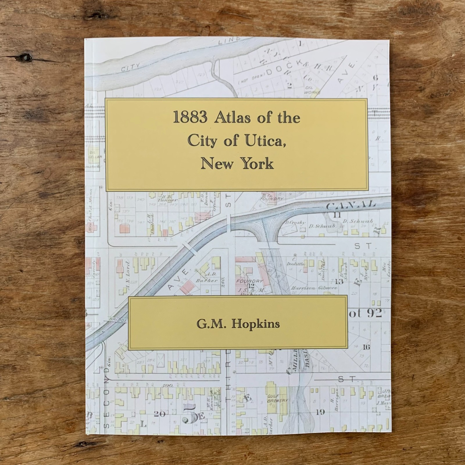 1876 City Atlas of Albany, New York / Color Facsimile