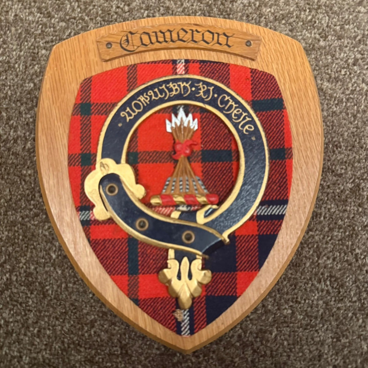Vintage Old Scottish Clan Cameron Braveheart Tartan Plaque Crest Shield av