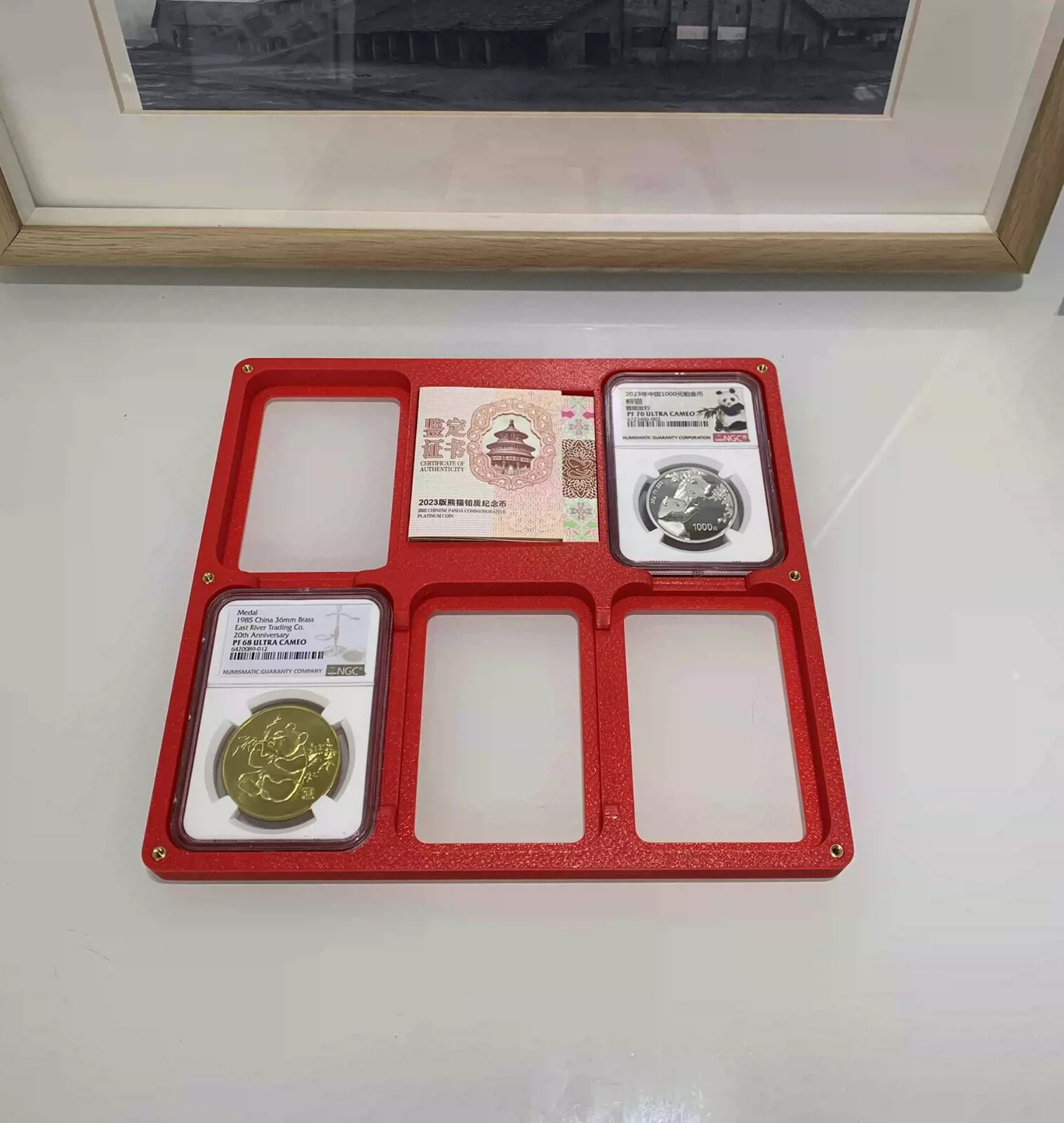 5 Grids Colored Desktop Display Frame Case For NGC Holder + Pic or Cert. Grid