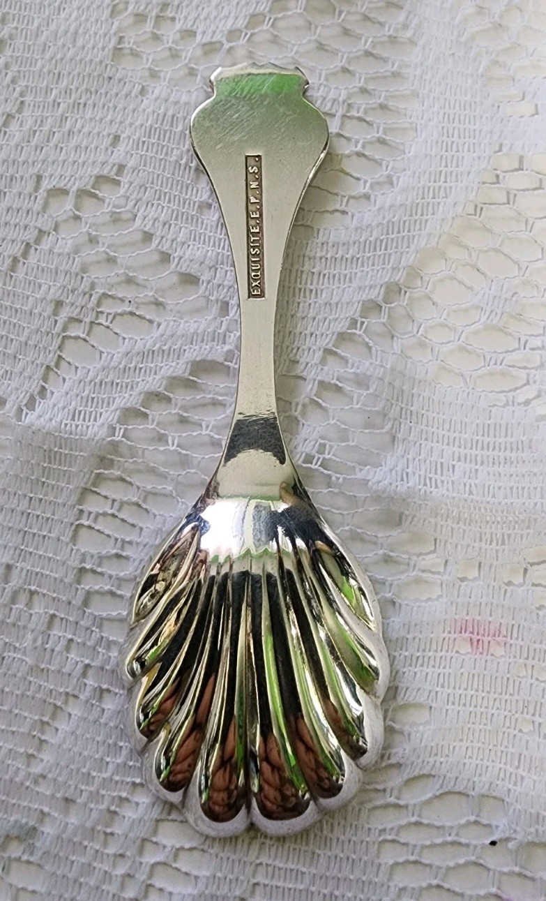 😎 EXQUISITE E.P.N.S. ST JOHNS NEWFOUNDLAND VTG SOUVENIR SHELL BON BON SPOON🍬