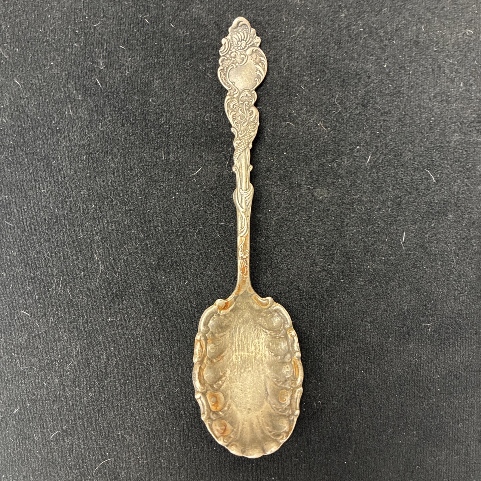 184 7Rogers Bros 6″ Sugar Spoon, Silverplate with A1 Columbia Serpent Design