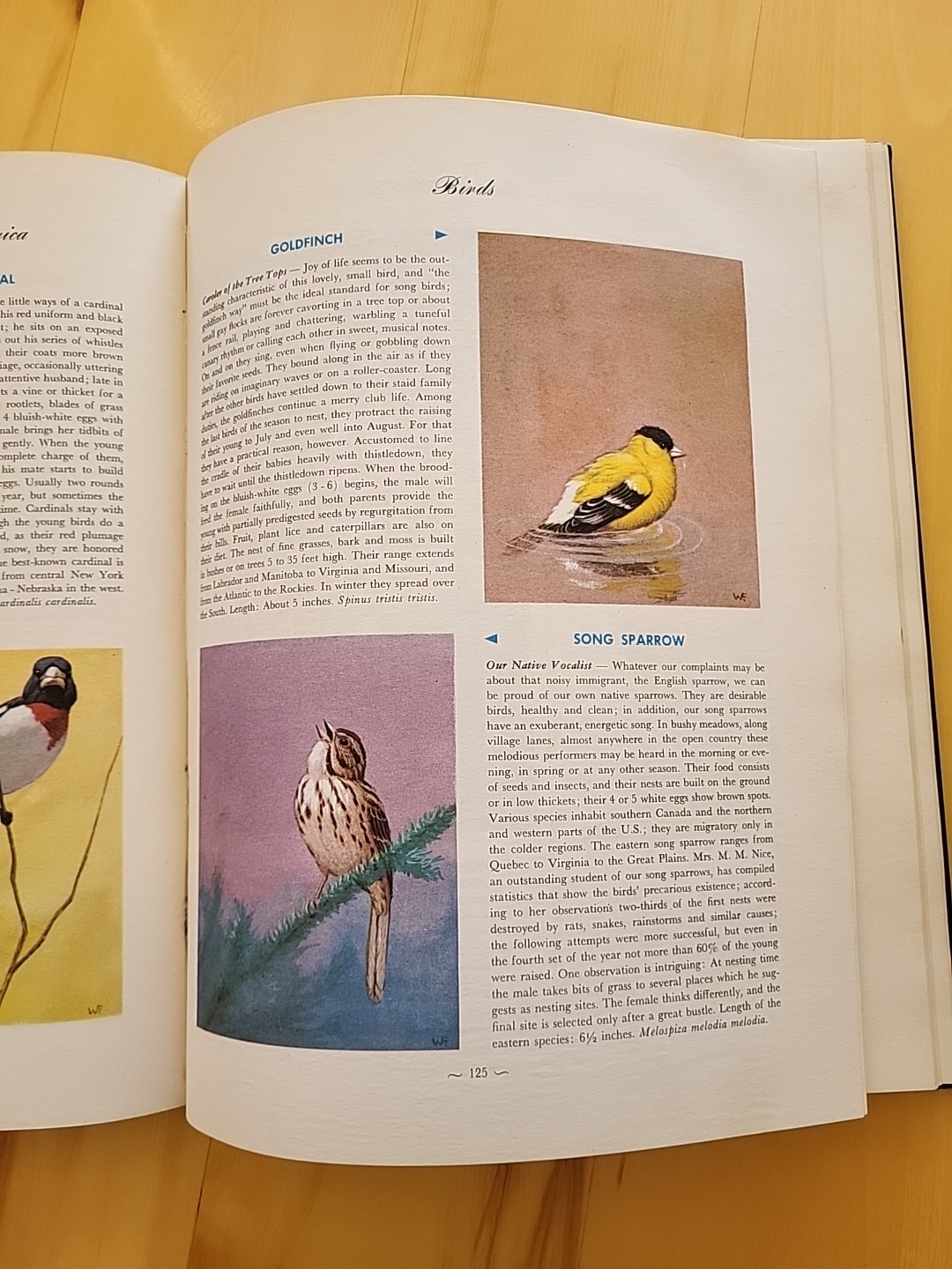 Vintage 1952 Oversized Biology Reference Book: Hammond’s Nature Atlas Of America