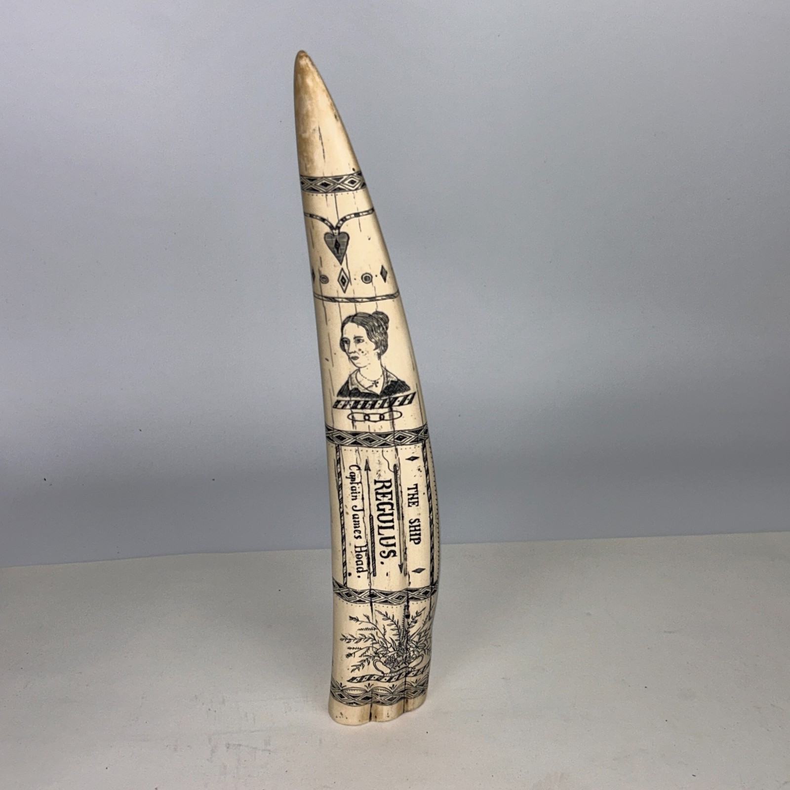 Scrimshaw Replica Walrus Tusk “Regulus” Captain James Head Ivory-color Resin 14″