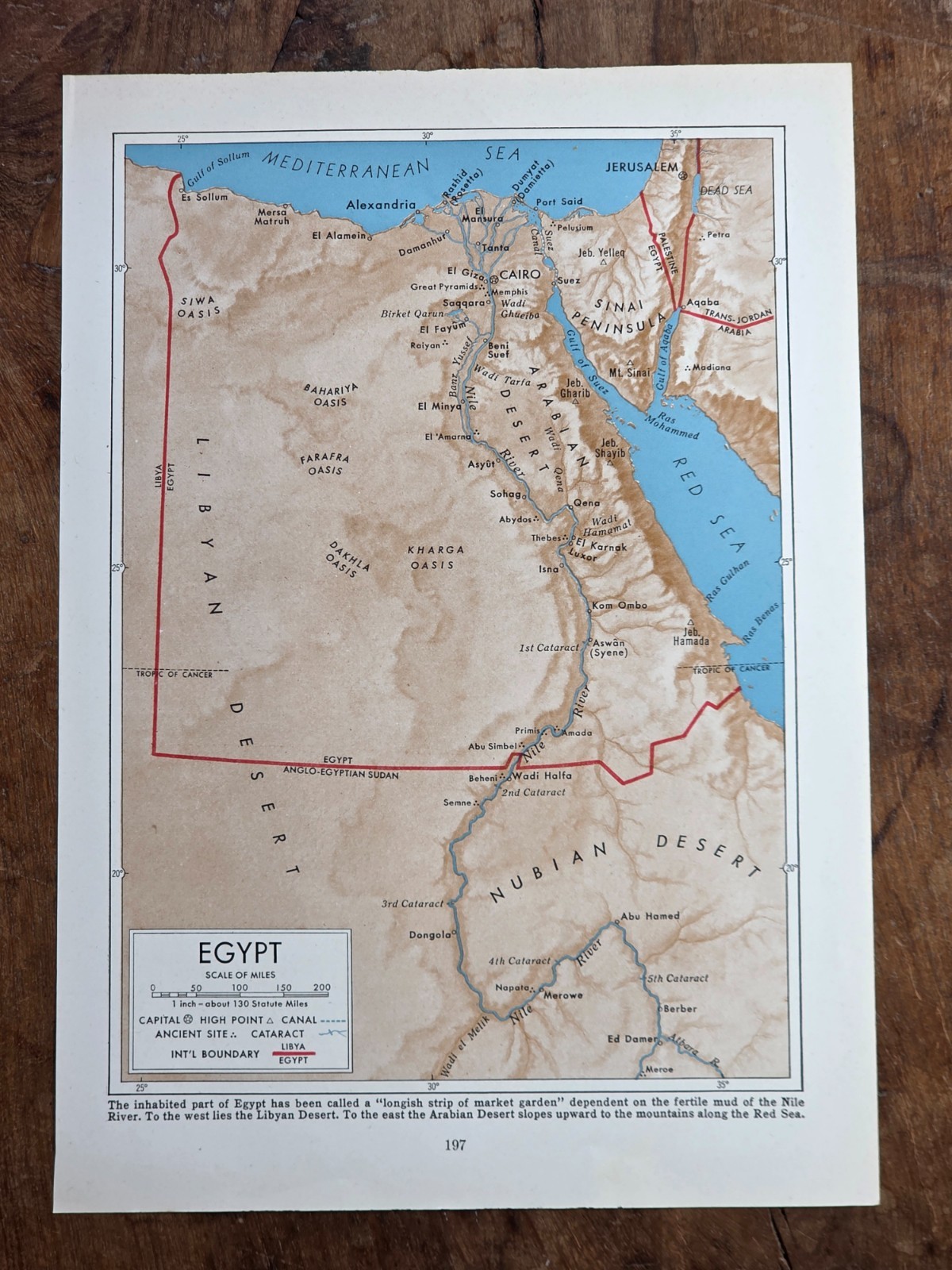 EGYPT Nile River Cairo Sinai Peninsula Mediterranean 1940 Vintage Atlas Map