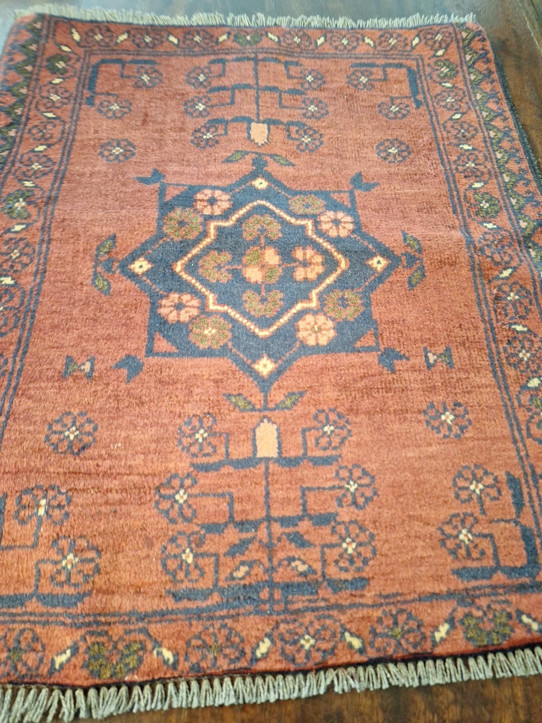 Hand Knotted Wlloen Rug
