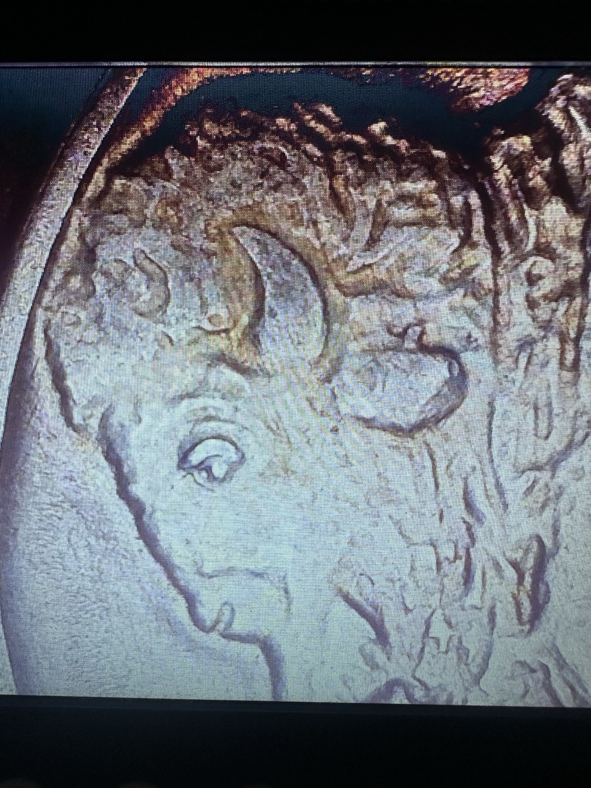 1935 Buffalo Nickel Coin Almost Uncirculated Full Horn 5 Cents
