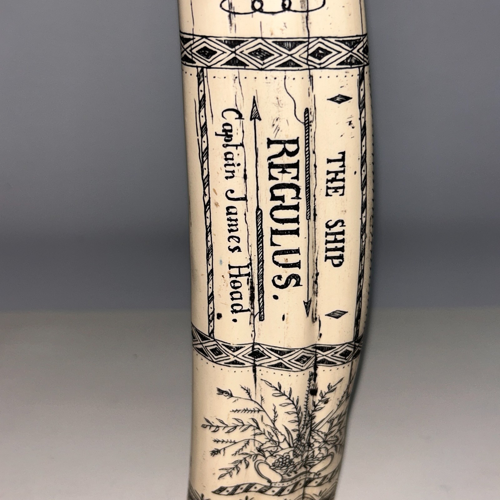 Scrimshaw Replica Walrus Tusk “Regulus” Captain James Head Ivory-color Resin 14″