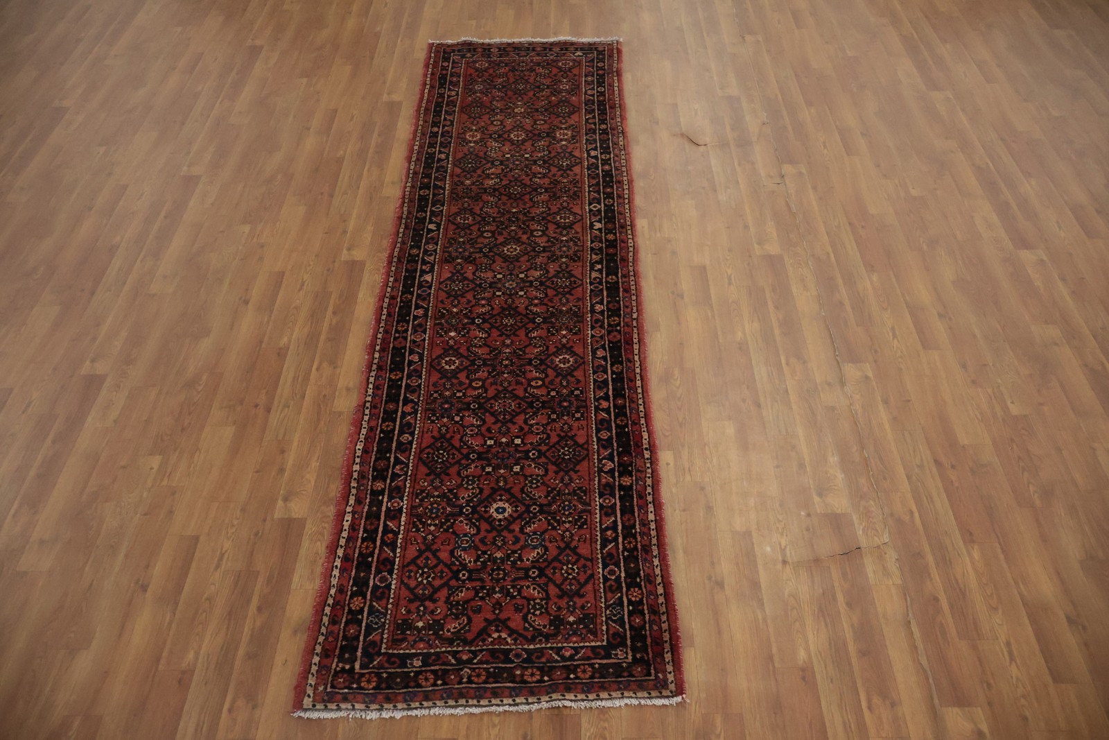 Elegant 10 ft Narrow Runner Rug 3×10 Rich Ornamental Design Handmade Wool Carpet
