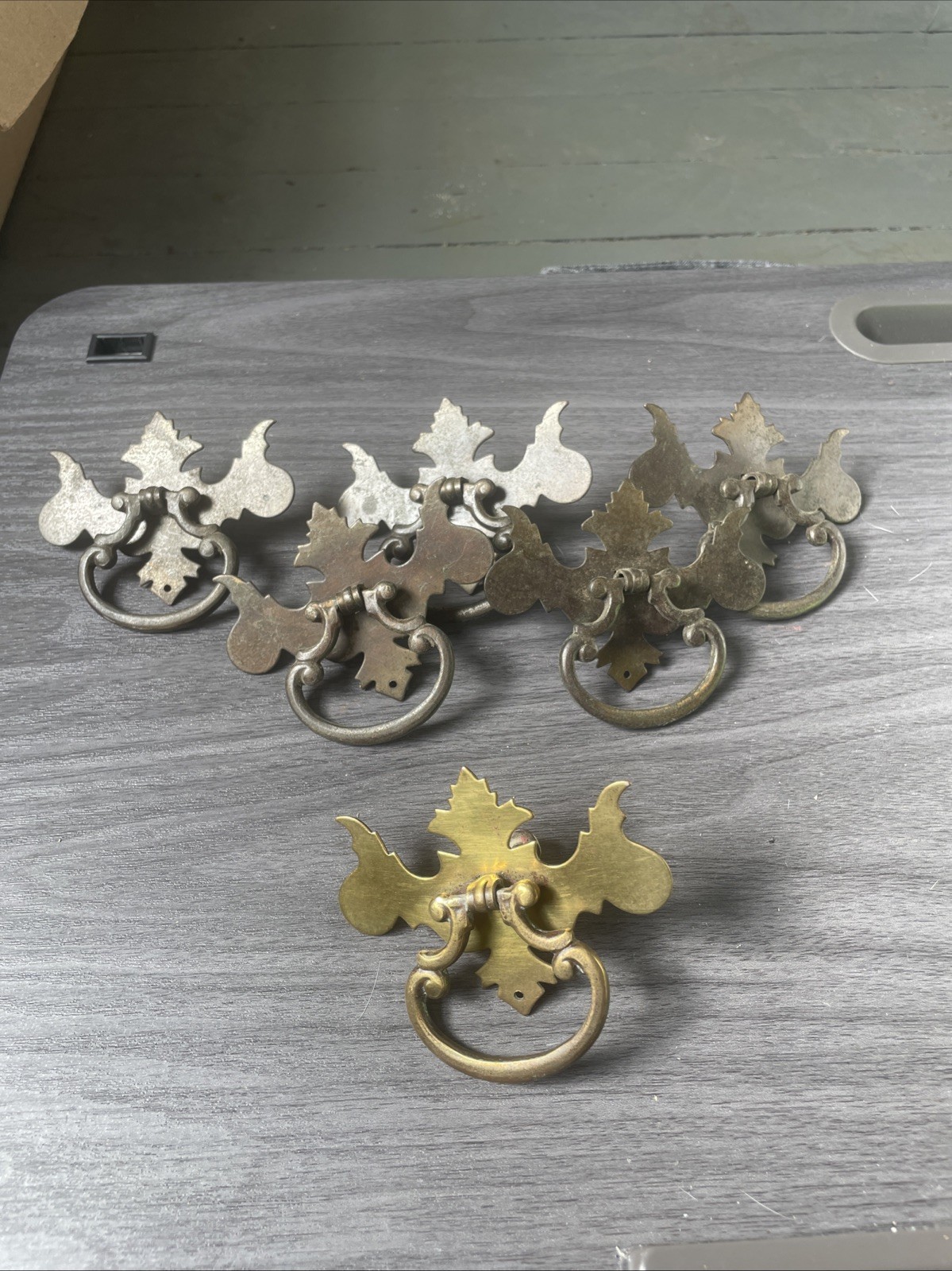 Lot of 6 Brass Chippendale Batwing Drawer Pulls 3” (Code 6CM2)