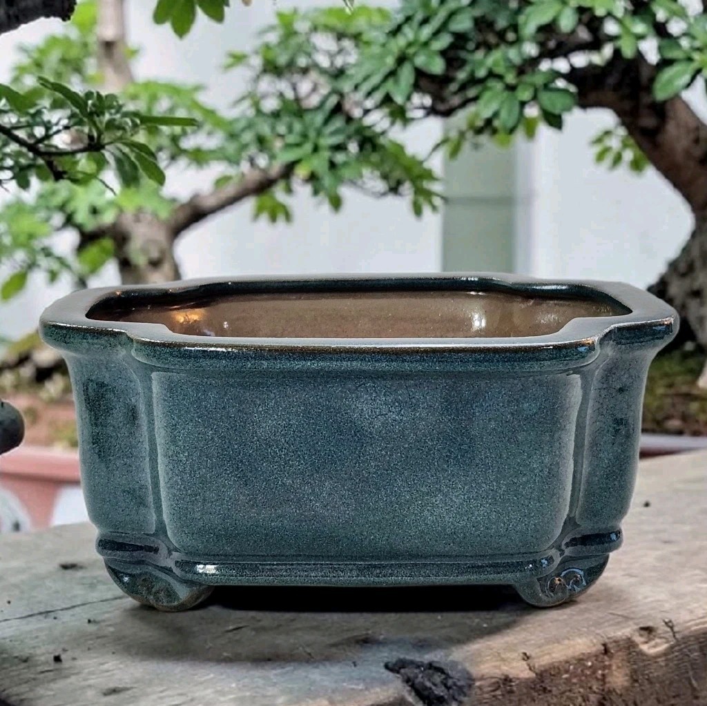 Speckled Teal Glazed Red Clay Professional Bonsai Pot Rectangle Footed 3.75″T EC