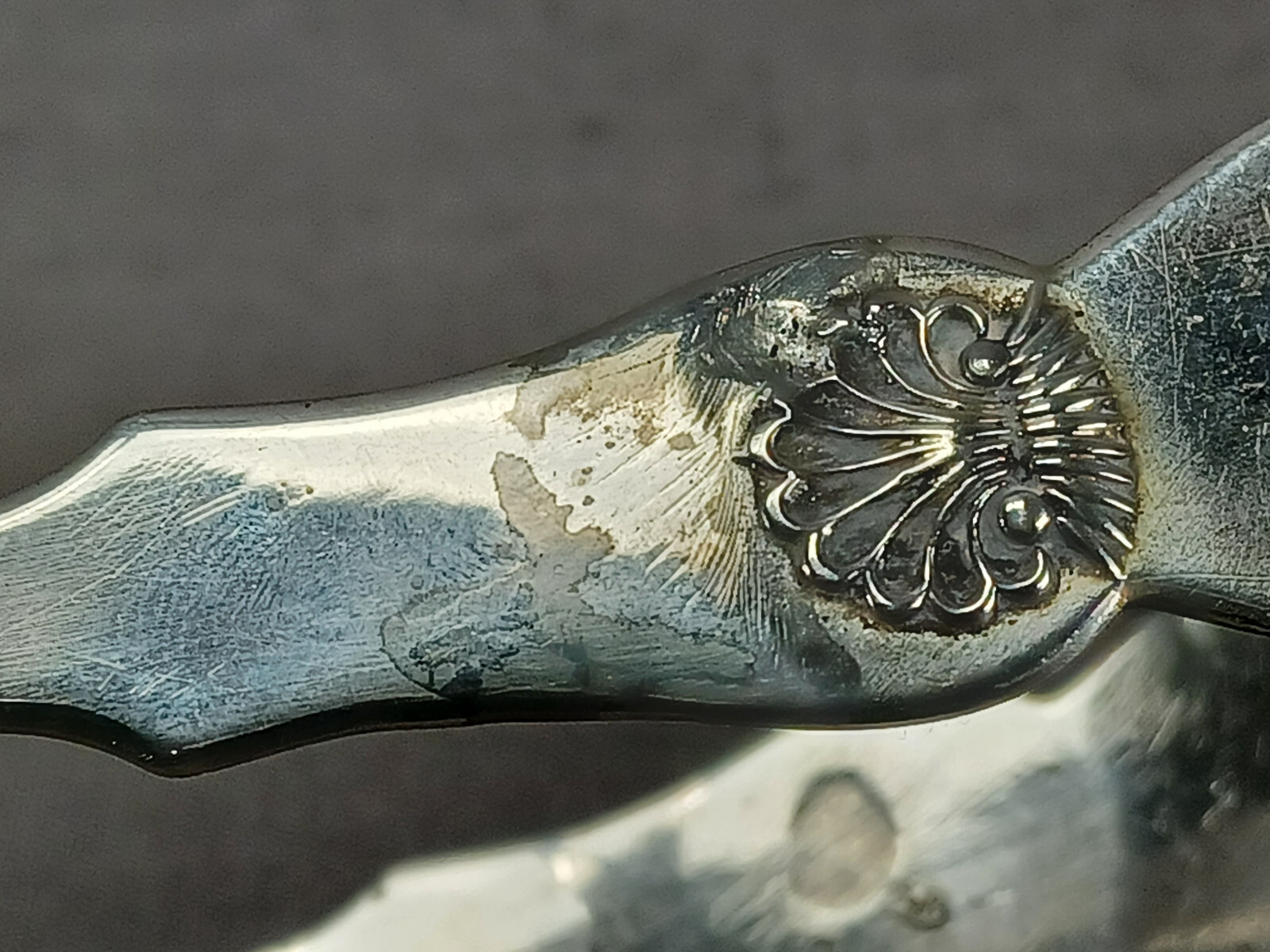 Cleveland & Post Norwich Connecticut Repousse Shells Coin Silver Tongs C. 1815