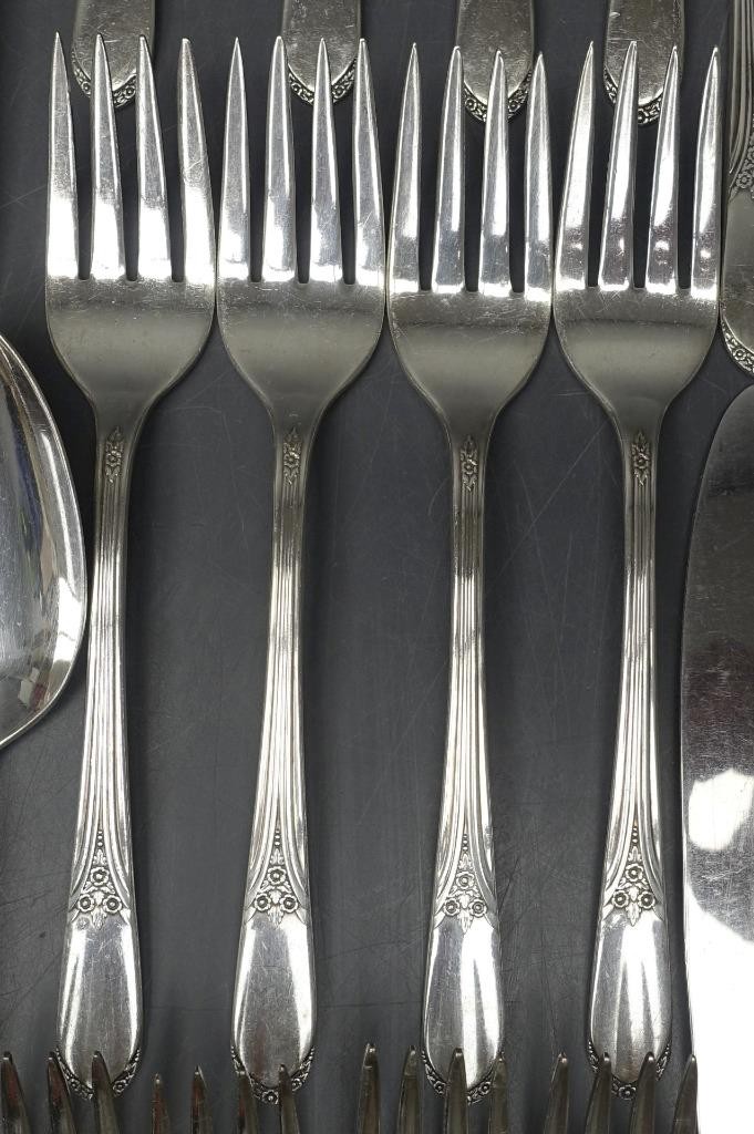 FLATWARE 66pc W.M. ROGERS silverplate Mary Lou (1938) service 8 +EXTRAS +SERVING