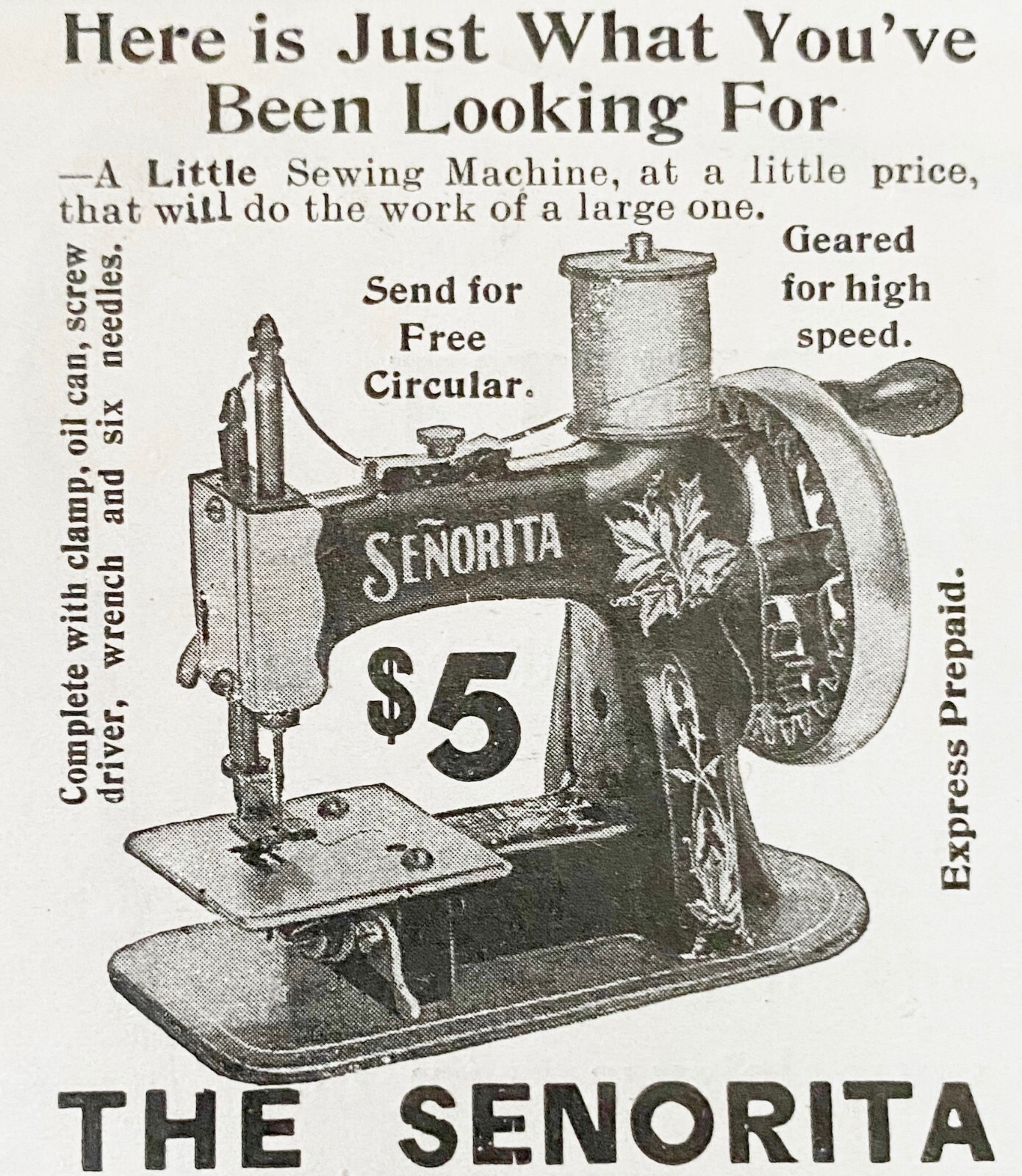 RARE!1901 Vtg Victorian Print Ad~THE SENORITA Little Sewing Machine A.M.Crane&Co