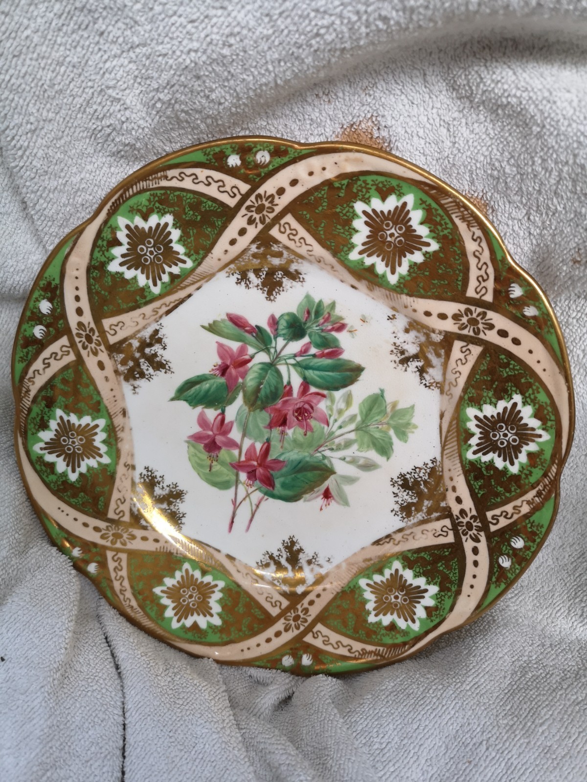 Baguley & Cooper Fuchsia plate 1855