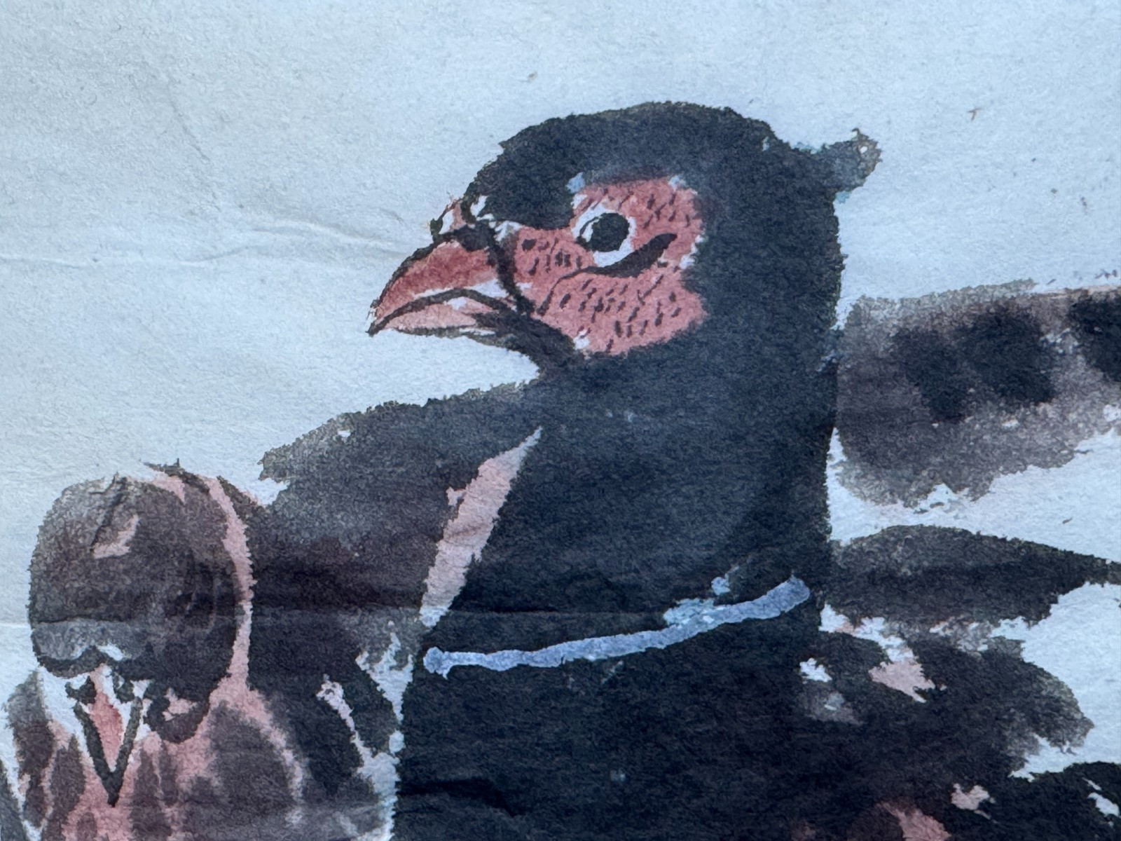 VINTAGE ASIAN PAINTING PHEASANT BIRD CHINESE JAPANESE INK & WATERCOLOR RED SEAL