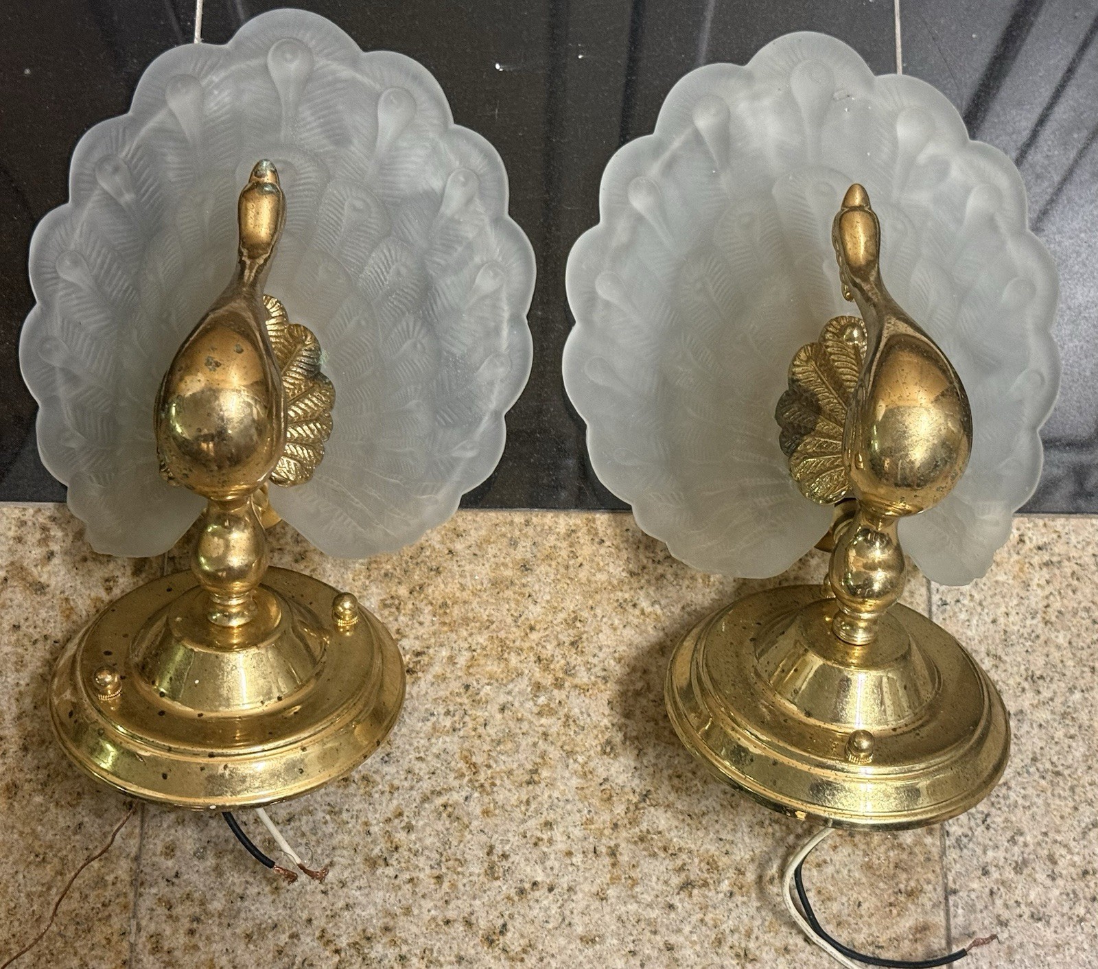 Pair Of Vintage Peacock Wall Sconces Frosted Glass Feather Shades