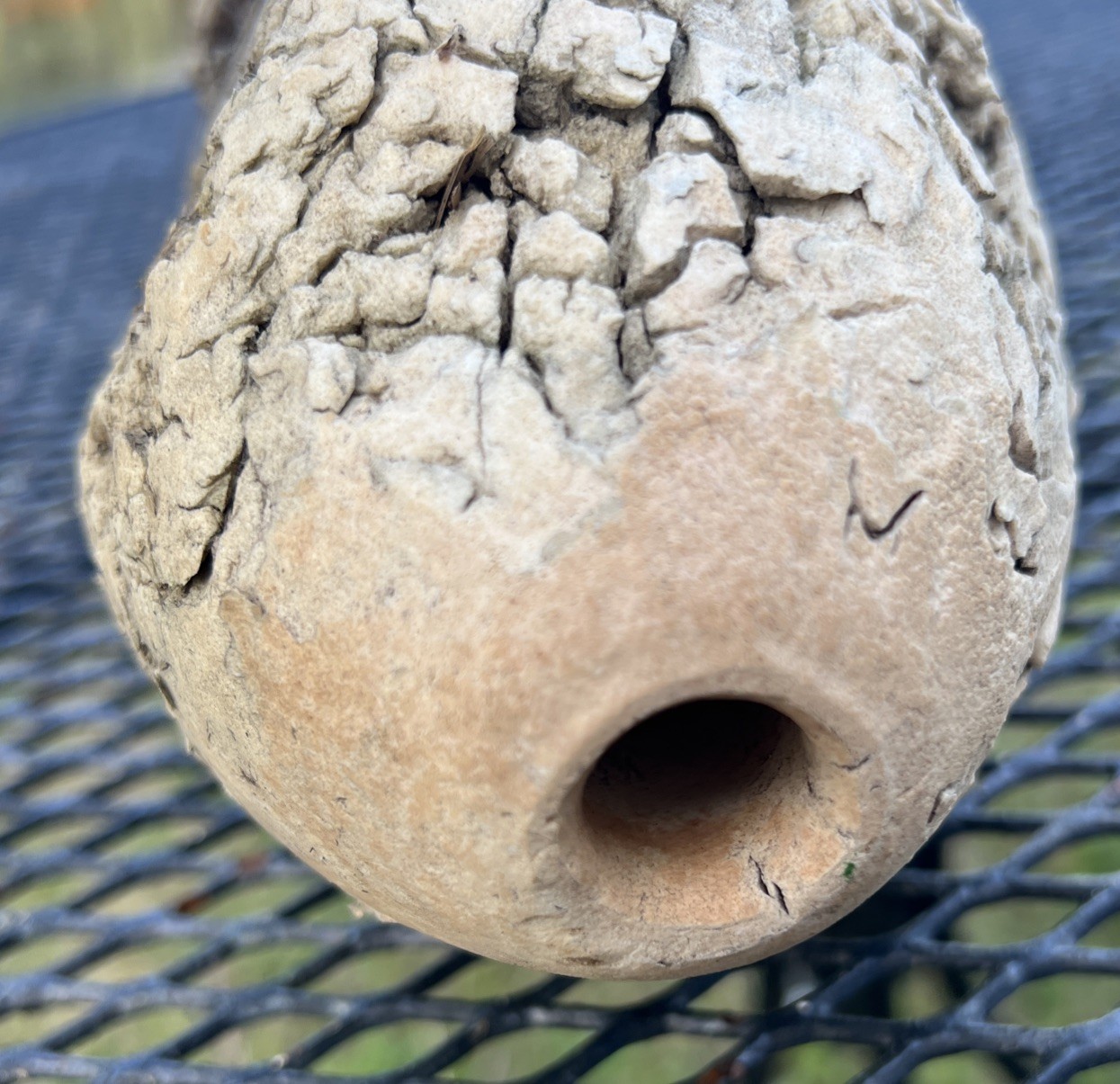 Crab Fish Pot Float Buoy Nautical Coastal Marine Shabby Chic Decor OBX Authentic