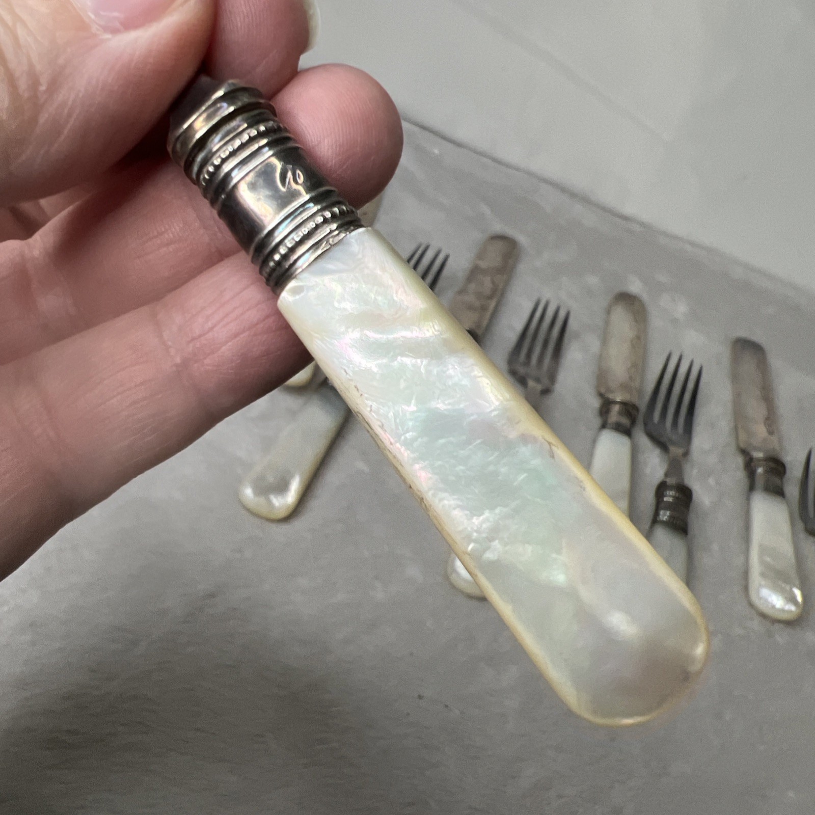 Lot Set 12 Mother of Pearl Fish Knives Forks Sterling Band Ferrule Storage Cloth
