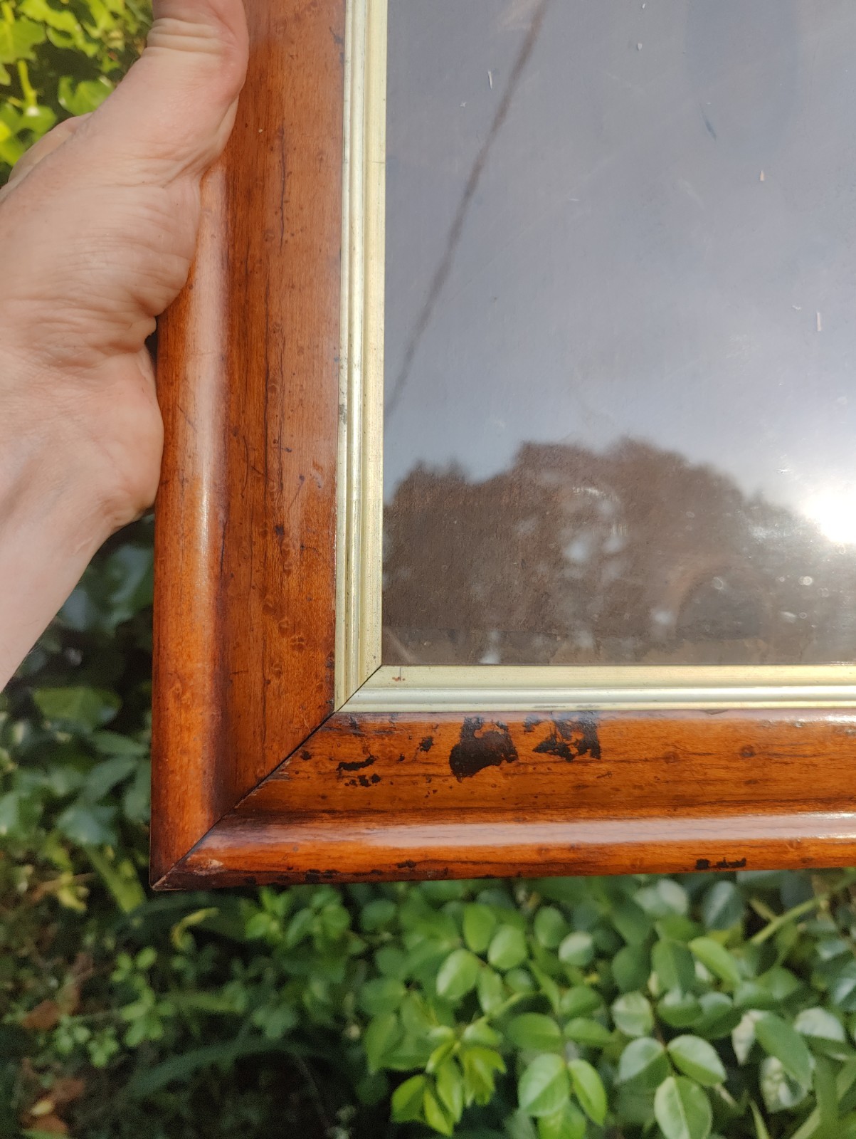 Bird’s Eye Maple Frame C.1870 44.5 X 37cm, View 24.5 X 32cm, Gilt Slip