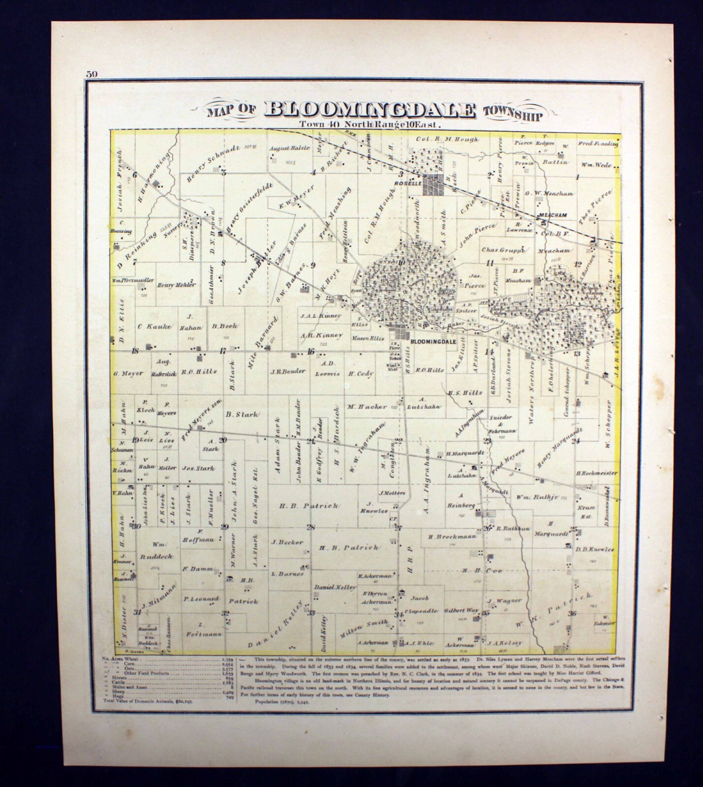 1874 Plat Map Bloomingdale Township Du Page County Illinois Roselle