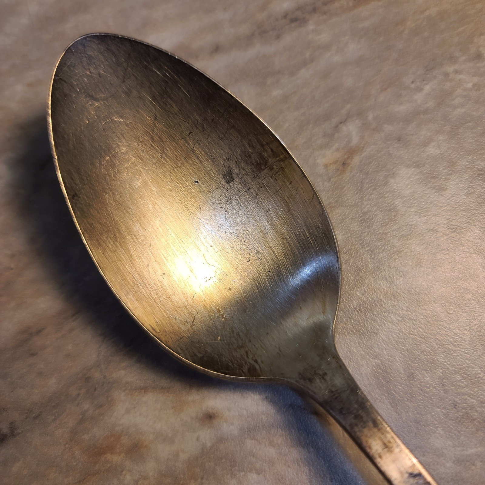 Table Serving Spoon Oneida Community Plate Bird Of Paradise Silverplate 1923 7¼”