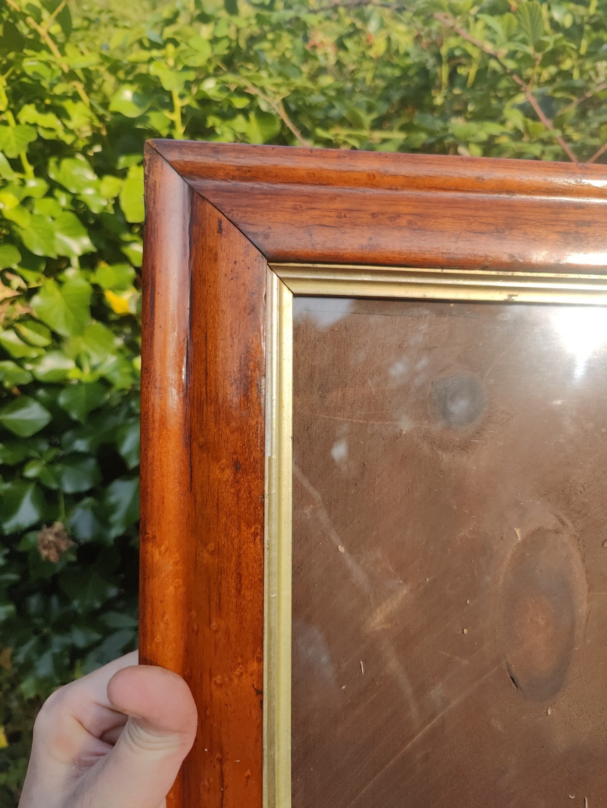 Bird’s Eye Maple Frame C.1870 44.5 X 37cm, View 24.5 X 32cm, Gilt Slip