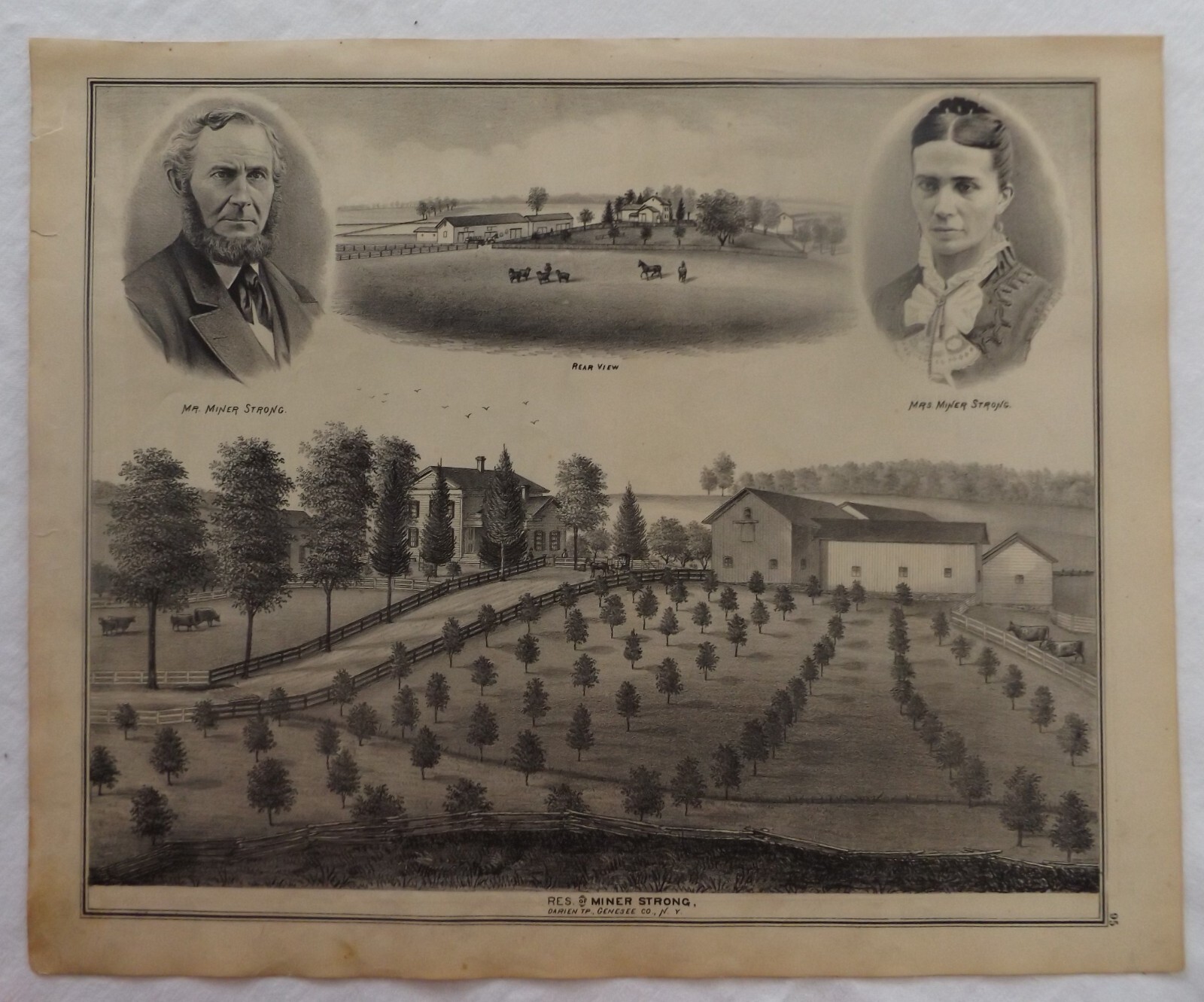 1876 NY Genesee County Darien Mullet Store Res Strong Res Cemetery Antique Print