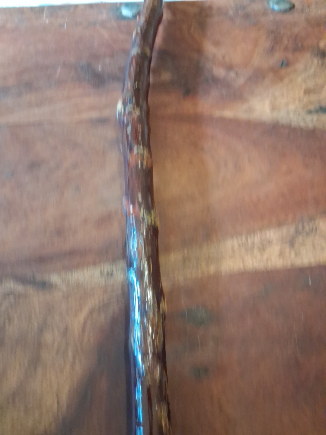 Rams Horn Shepherds Crook, 117cm