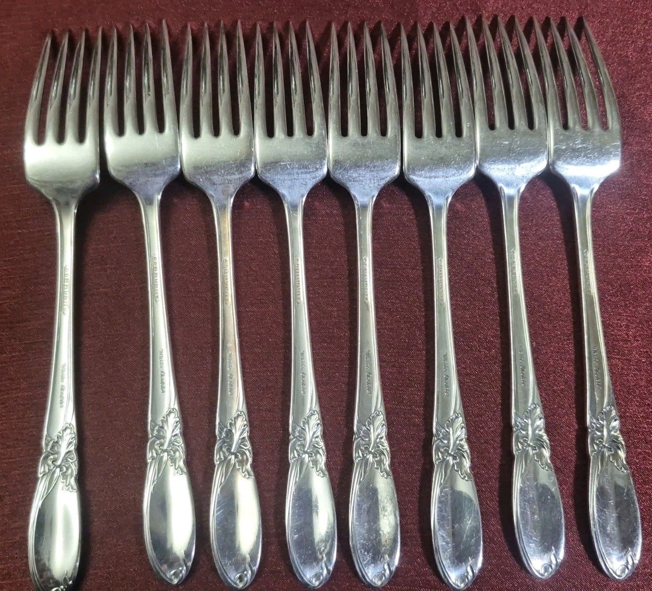 Oneida Community White Orchid Pattern Lot Of 8 Dinner Forks 7.75″