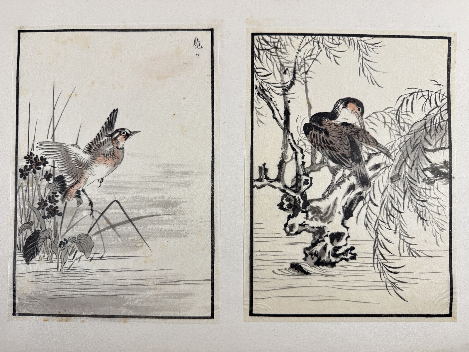 Japanese Drawing Book “Kachoshu” Picture of birds and flowers 49 illustration