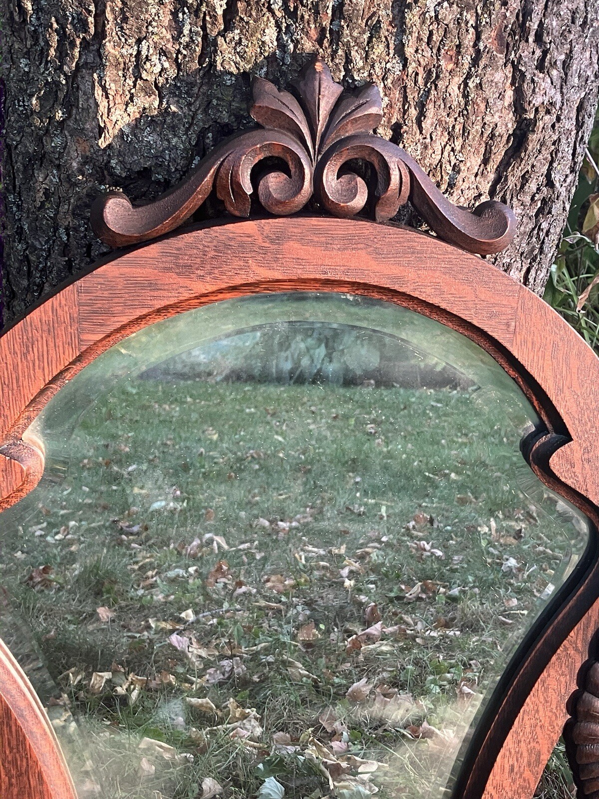 Victorian Wooden Antique Mirror Mythical Winged Griffins Architectural Salvage