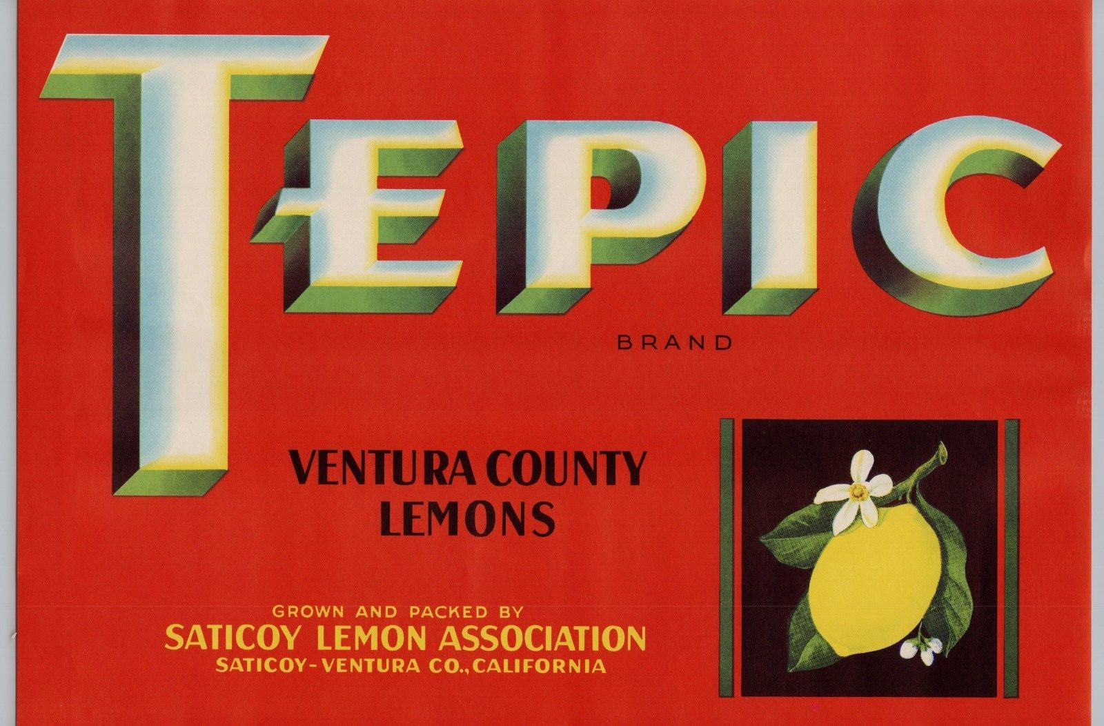 Tepic Ventura County Lemons, Vintage Mid-Century Fruit Crate Label, Cool Art A2