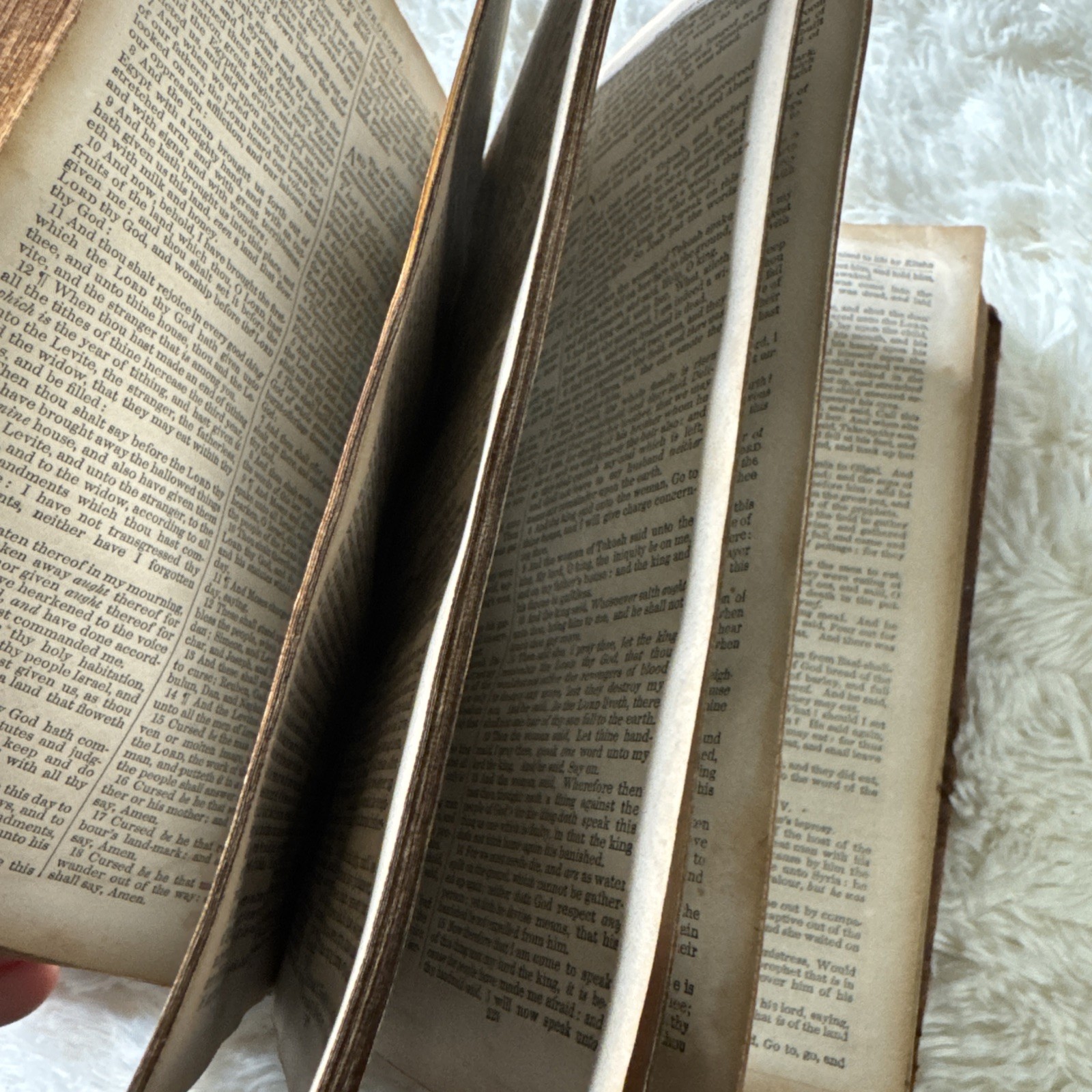 1853 Bible A4